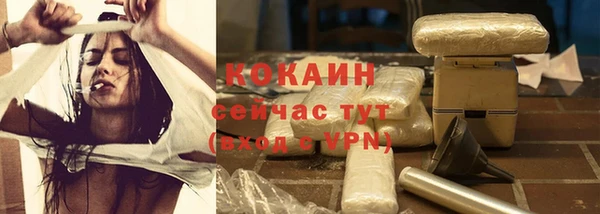 PSILOCYBIN Карпинск