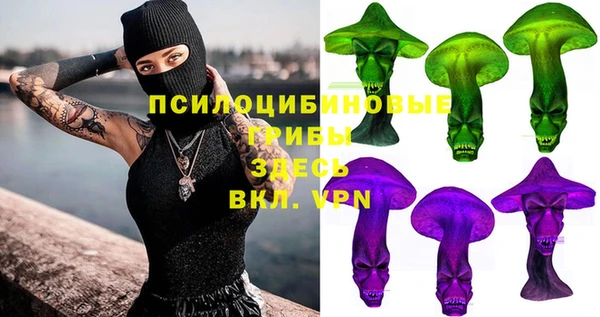 PSILOCYBIN Карпинск