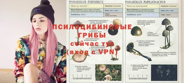 стафф Карталы