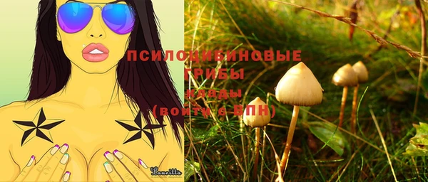PSILOCYBIN Карпинск
