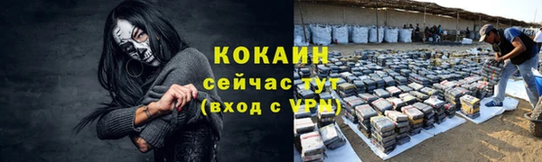 PSILOCYBIN Карпинск