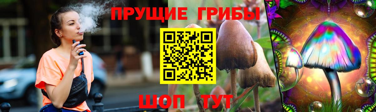 Галлюциногенные грибы прущие грибы  Вход с VPN  Каспийск 